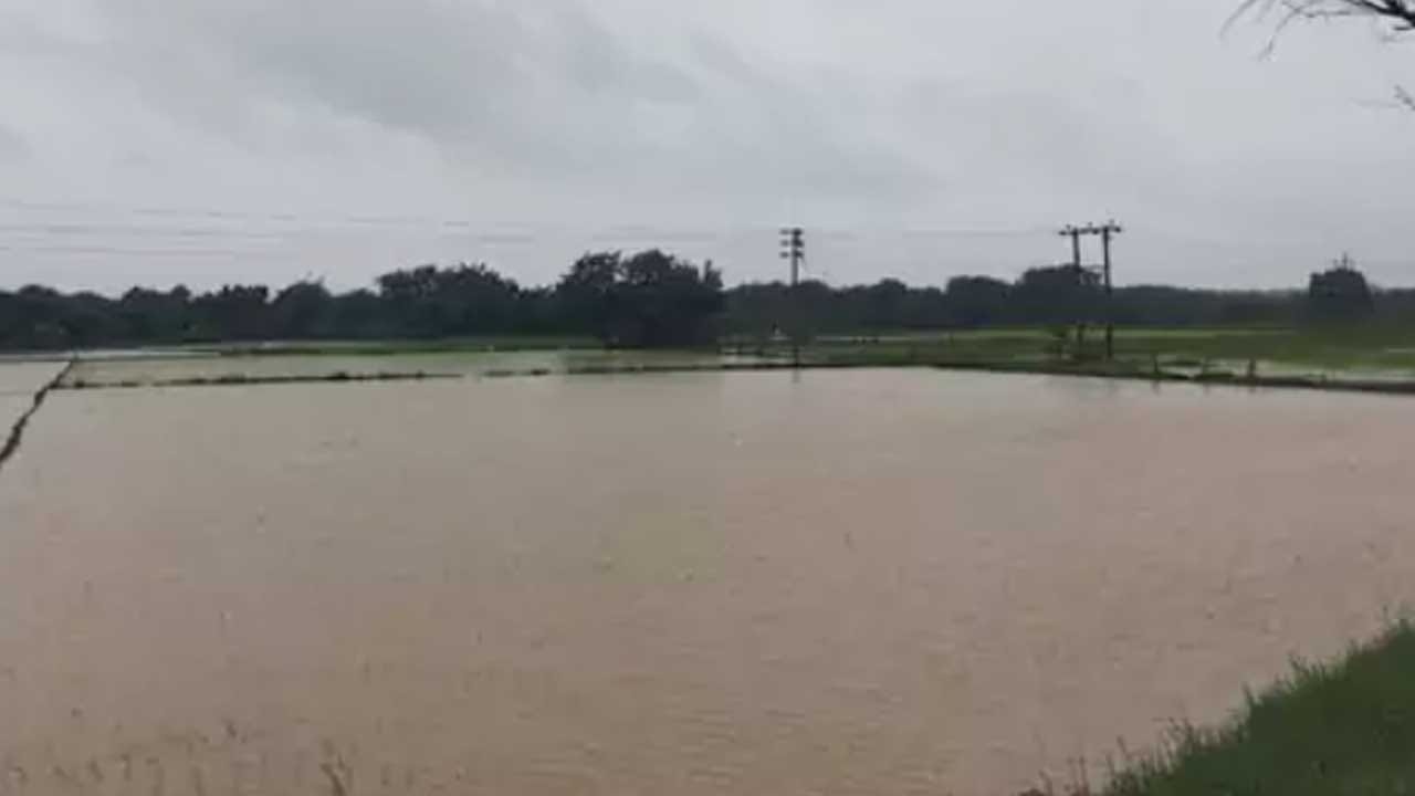 సిద్దిపేట జిల్లాలో రాత్రి నుంచి భారీ వర్షం కురుస్తుంది. దీంతో తొగుటలొ వాగులు వంకలు పొంగిపొర్లుతున్నాయి.  రోజంతా వర్షం కురుస్తుంది. ఉదయం 10 గంటల నుంచి రాత్రి వరకు తేలిక పాటి నుంచి మోస్తరు వర్షాలు కురుస్తున్నాయి. వాతావరణ శాఖ ప్రకారం సిద్ధిపేటతో పాటు, పశ్చిమ తెలంగాణ జిల్లాలో మోస్తారు నుంచి భారీ వర్షాలు పడే ఛాన్స్ ఉన్నదంట.