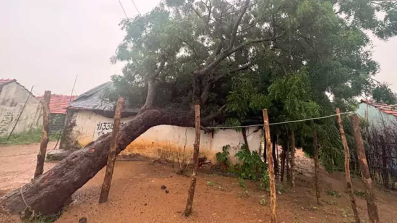 కరీంనగర్‌లో  వర్షం దంచి కొడుతుంది. మంగళ వారం రాత్రి చిరు జల్లులతో మొదలైన వర్షం, బుధవారం దంచి కొడుతుంది. ఉదయం 9 గంటల నుంచి రాత్రి 9 గంటల వరకు జల్లులు కురిసే ఛాన్స్ ఉంది. ఇక్కడ కూడా అధిక వర్షాపాతం నమోదు అవుతుంది. ముఖ్యంగా కరీంనగర్‌లో జగిత్యాల, పెద్దపల్లి, రాజన్న సిరిసిల్ల జిల్లాలో భారీ వర్షాలు కురుస్తాయని వాతావరణ శాఖ హెచ్చరిస్తుంది.