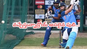 ఆ ముగ్గురు దద్దమ్మలు ఇక ఇంటికే.. వచ్చేస్తున్నాడ్రోయ్ అసలైన పులి