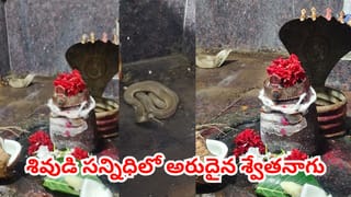 అంతా శివుడి మహత్యం.. సోమవారం నాడు ప్రత్యక్షమైన అరుదైన శ్వేతనాగు.. ఇదిగో వీడియో