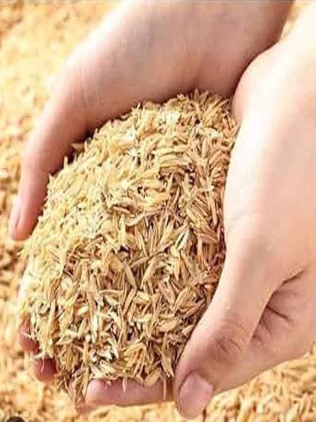 పారేసే వరిపొట్టుతో ఇన్ని లాభాలా? వ్యర్థం నుండి అదనపు ఆదాయం..