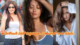 మూడు రాజ కుటుంబాలకు వారసురాలు.. ఒక్క వీడియోతో కెరీర్ నాశనం..