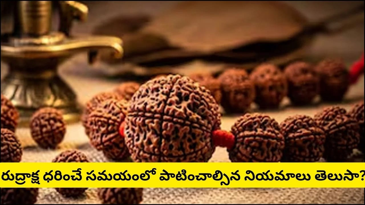 మీ రుద్రాక్ష అసలైనదేనా? నకిలీదో ఇలా గుర్తించండి.. కొనుగోలు చేసే ముందు తప్పక తెలుసుకోవాల్సిన విషయాలు