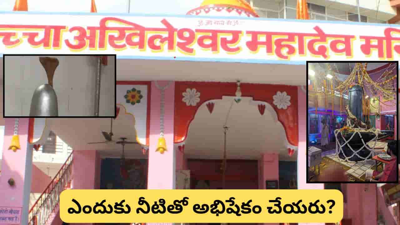 శివలింగానికి జలాభిషేకం నిషేధం.. భారతదేశంలోని ఈ అరుదైన శివాలయం ప్రత్యేకత ఏమిటో తెలుసా?