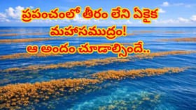 భూమిపై తీరం లేని ఏకైక సముద్రం.. అయోమయంలో శాస్త్రవేత్తలు..ఆ రహస్యం