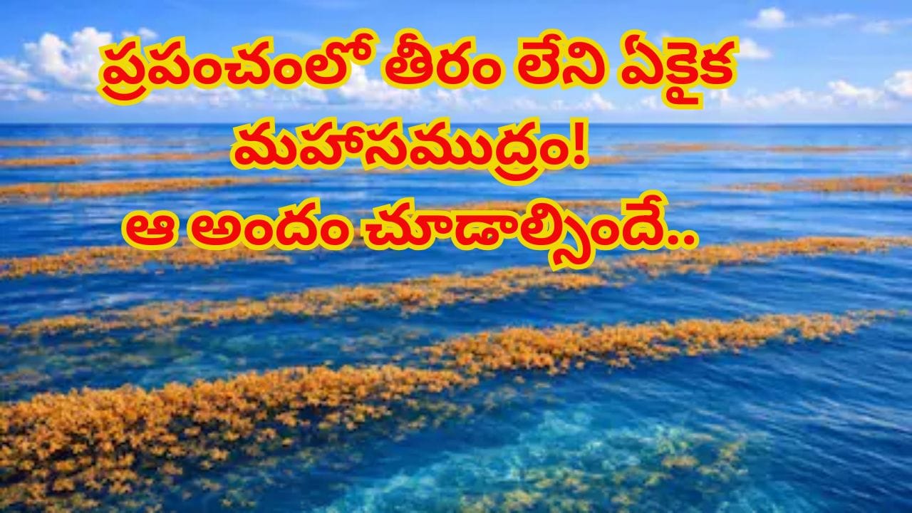 భూమిపై తీరం లేని ఏకైక సముద్రం.. ఎక్కడ మాయమైందంటూ అయోమయంలో శాస్త్రవేత్తలు..ఆ రహస్యం ఇదే!