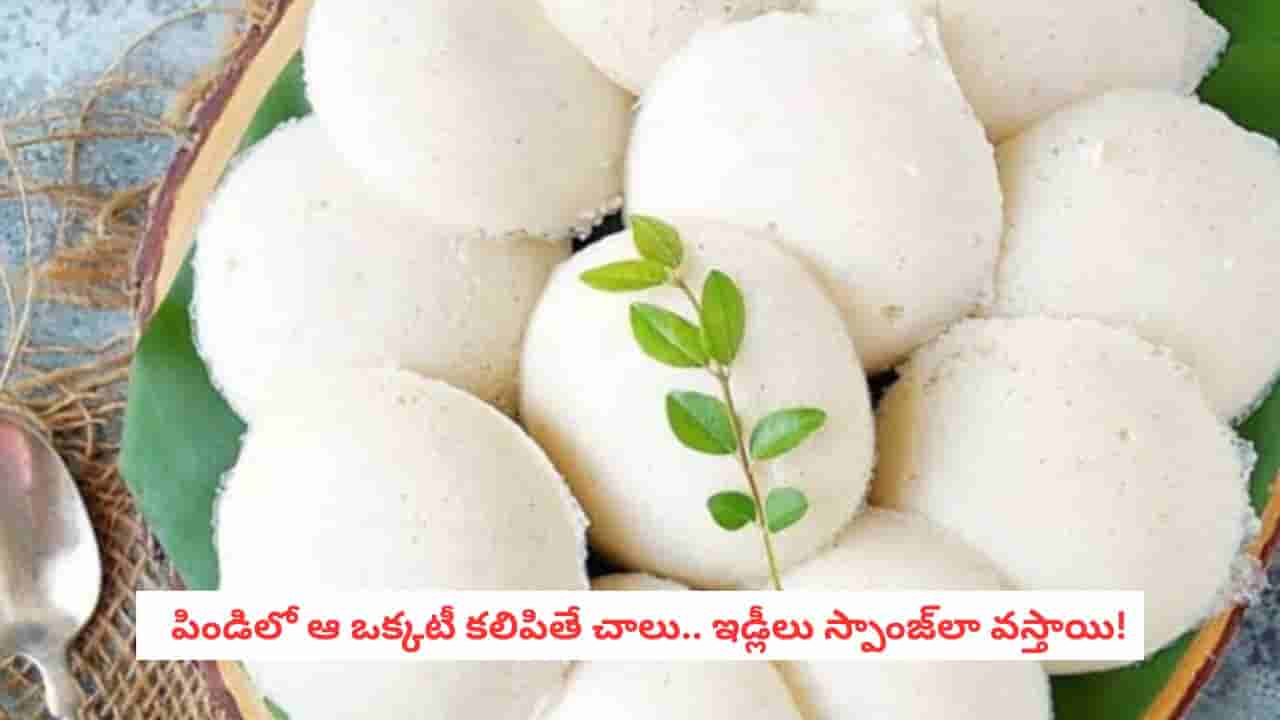 Perfect Batter: మల్లెపూవు లాంటి మెత్తటి ఇడ్లీలు రావడం లేదా?.. పిండి రుబ్బేటప్పుడు ఈ చిన్న సీక్రెట్స్ పాటిస్తే చాలు