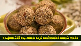 6 విత్తనాల పవర్ లడ్డు.. రోజుకు ఒక్కటి తింటే కొండంత బలం మీ సొంతం
