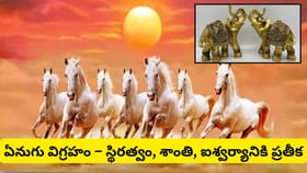 వాస్తులో ఏది శుభం? ఏడు గుర్రాల చిత్రం లేదా ఏనుగు విగ్రహం.. మీ ఇంట