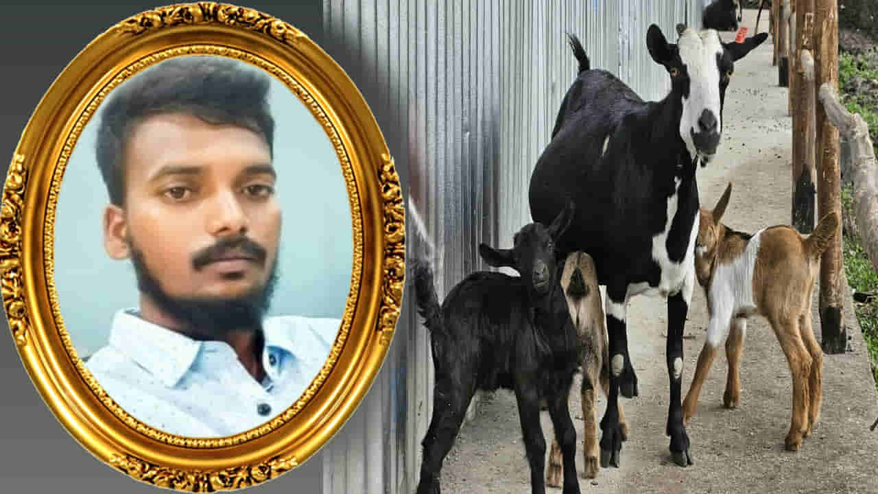 ఎంత దారుణం.. మేకపిల్లల పంచాయతీ యువకుడి ప్రాణం తీసింది! ఏం జరిగిందంటే..