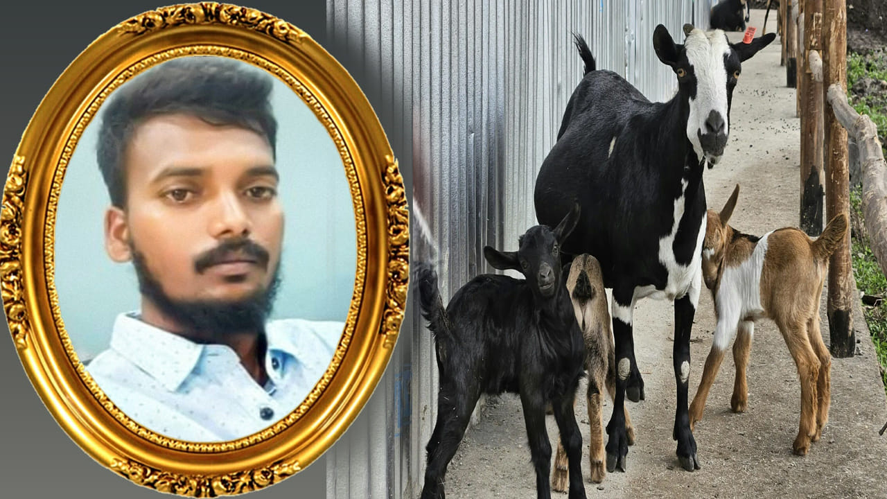 ఎంత దారుణం.. మేకపిల్లల పంచాయతీ యువకుడి ప్రాణం తీసింది! ఏం జరిగిందంటే..