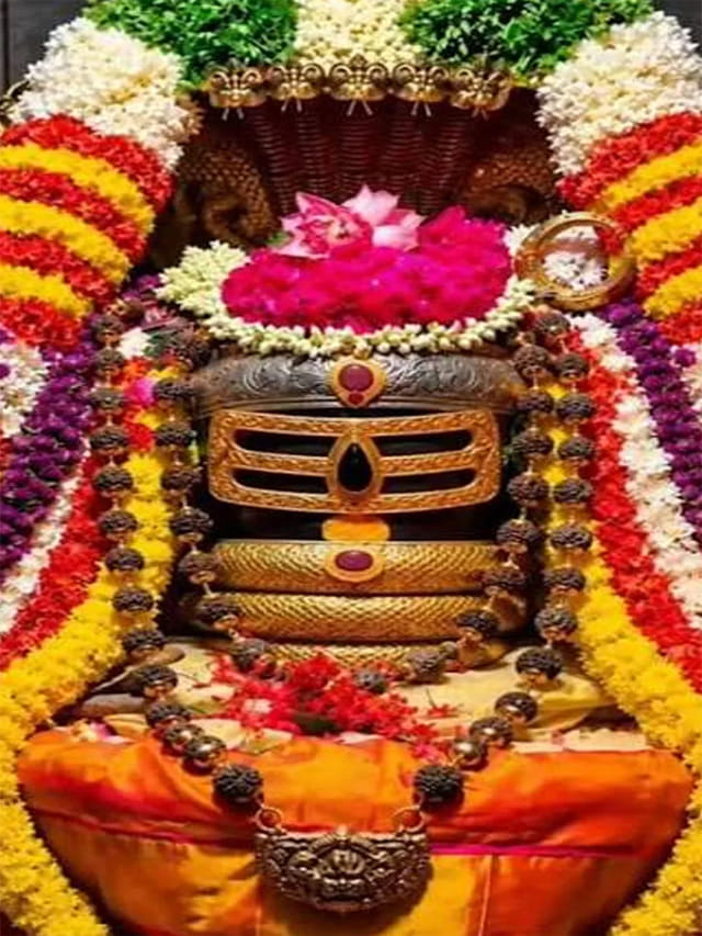 రవి ప్రదోష వ్రతం.. శివారాధనకు శుభ సమయం ఇదే.. పూజా విధానం..