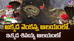 అక్కడ వెంకన్న ఆలయంలో..ఇక్కడ శివయ్య ఆలయంలో