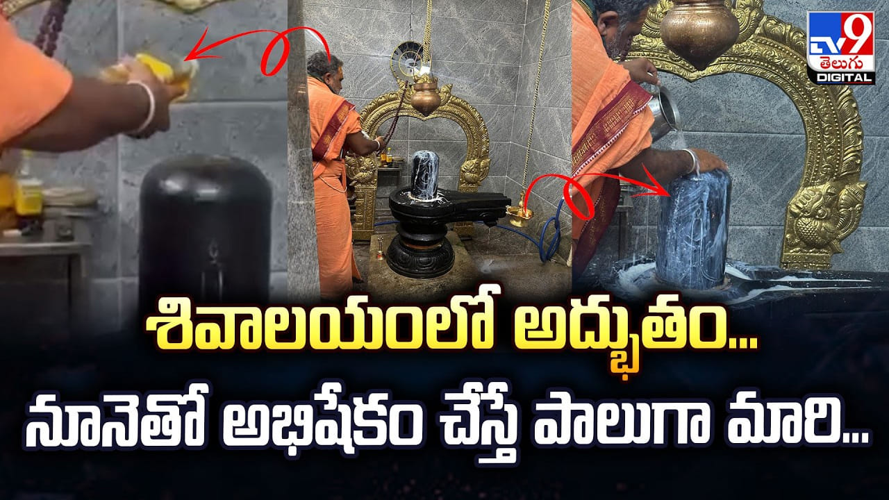 శివాలయంలో అద్భుతం.. నూనెతో అభిషేకం చేస్తే పాలుగా మారి శివాలయంలో అద్భుతం.. నూనెతో అభిషేకం చేస్తే పాలుగా మారి