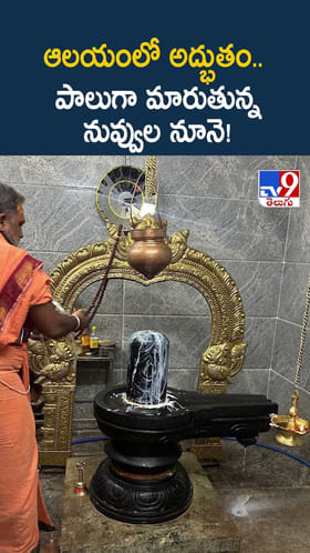 ఆలయంలో అద్భుతం.. పాలుగా మారుతున్న నువ్వుల నూనె!