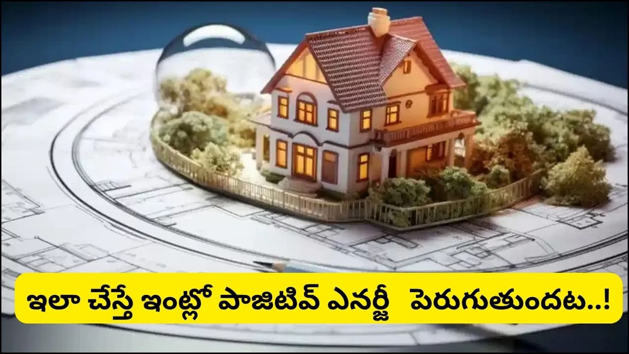 Vastu Tips: అద్దె ఇంట్లో తరచూ సమస్యలేనా? ఈ వాస్తు చిట్కాలు పాటిస్తే అదృష్టం మారుతుందట!