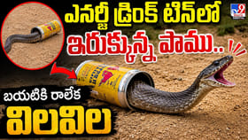 ఎనర్జీ డ్రింక్ టిన్‌లో ఇరుక్కున్న పాము.. బయటికి రాలేక విలవిల