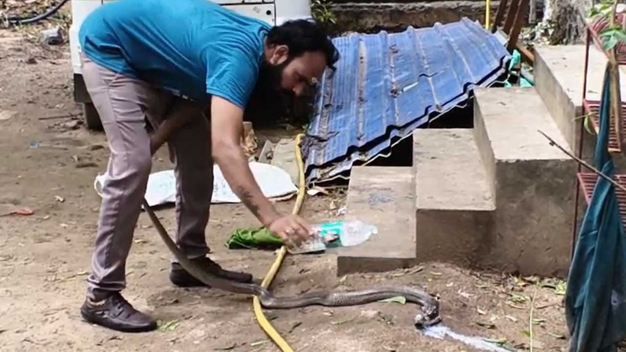 రాజన్న సిరిసిల్ల జిల్లా వేములవాడలోని భీమేశ్వర ఆలయం సమీపంలో శనివారం భారీ పాము ప్రత్యక్షమవడంతో కొద్దిసేపు తీవ్ర కలకలం నెలకొంది. ఆలయం ముందున్న బెల్లం దుకాణం వద్ద దాదాపు 10 అడుగుల పొడవున్న పాము కనిపించడంతో అక్కడ ఉన్న భక్తులు, స్థానికులు ఒక్కసారిగా భయాందోళనకు గురయ్యారు. కొందరు భయంతో పరుగులు తీయగా, మరికొందరు దూరం నుంచి పామును గమనిస్తూ అప్రమత్తంగా నిలిచారు.