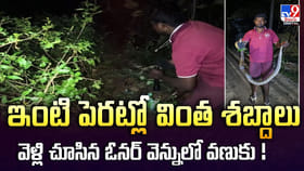 ఇంటి పెరట్లో వింత శబ్దాలు.. వెళ్లి చూసిన ఓనర్ వెన్నులో వణుకు!