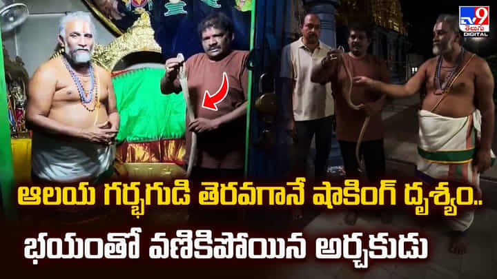 ఆలయ గర్భగుడి తెరవగానే షాకింగ్ దృశ్యం.. భయంతో వణికిపోయిన అర్చకుడు ఆలయ గర్భగుడి తెరవగానే షాకింగ్ దృశ్యం.. భయంతో వణికిపోయిన అర్చకుడు
