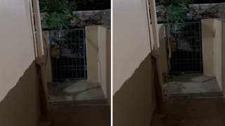 Viral Video: చీకట్లో సరిగా కనిపించలేదు.. ఏంటా అని దగ్గరికెళితే.. ఓర్నాయనో..