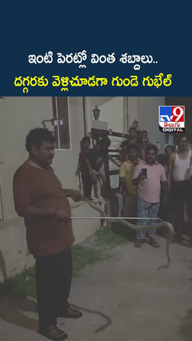 ఇంటి పెరట్లో వింత శబ్దాలు.. దగ్గరకు వెళ్లిచూడగా గుండె గుభేల్‌