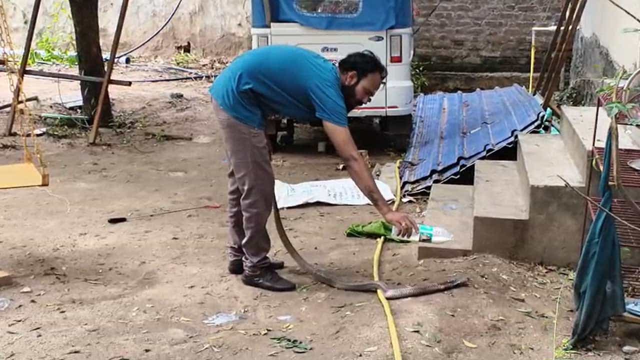 రాజన్న సిరిసిల్ల జిల్లా వేములవాడ భీమేశ్వర ఆలయం వద్ద 10 అడుగుల పాము ప్రత్యక్షమై భక్తులను భయాందోళనకు గురిచేసింది. స్నేక్ క్యాచర్ జగదీశ్వర్ సాహసోపేతంగా దానిని పట్టుకుని సురక్షితంగా అటవీ ప్రాంతంలో విడిచిపెట్టారు. ఈ ఘటనతో కొద్దిసేపు ఉత్కంఠ నెలకొన్నప్పటికీ, ఎటువంటి ప్రమాదం జరగలేదు. ఆలయ పరిసరాల్లో అప్రమత్తంగా ఉండాలని స్థానికులు సూచించారు.