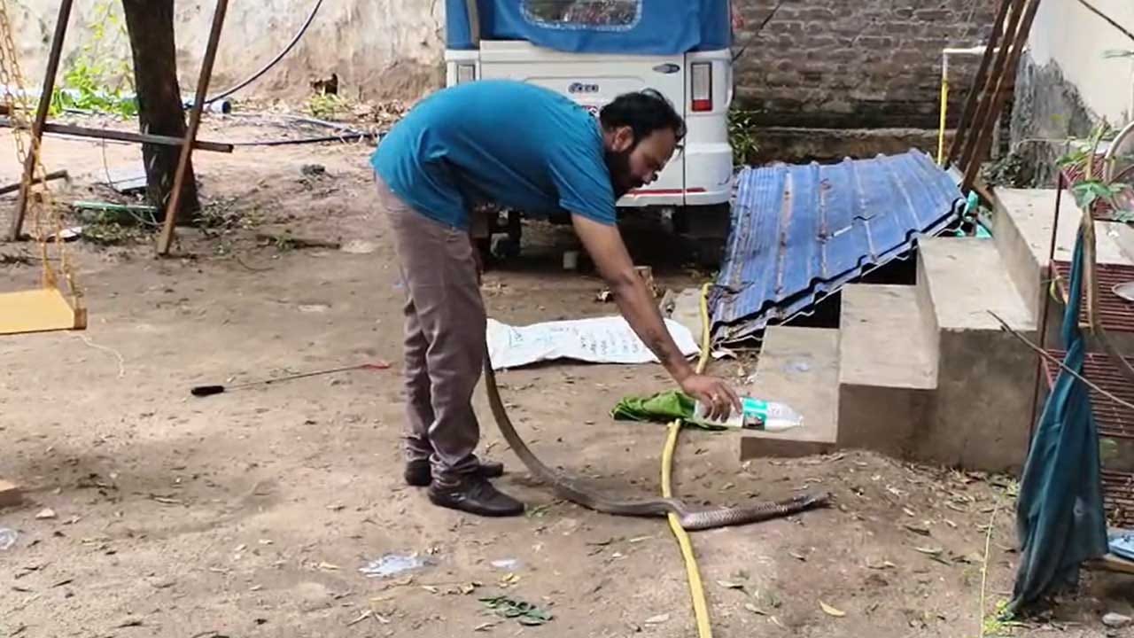 రాజన్న సిరిసిల్ల జిల్లా వేములవాడ భీమేశ్వర ఆలయం వద్ద 10 అడుగుల పాము ప్రత్యక్షమై భక్తులను భయాందోళనకు గురిచేసింది. స్నేక్ క్యాచర్ జగదీశ్వర్ సాహసోపేతంగా దానిని పట్టుకుని సురక్షితంగా అటవీ ప్రాంతంలో విడిచిపెట్టారు. ఈ ఘటనతో కొద్దిసేపు ఉత్కంఠ నెలకొన్నప్పటికీ, ఎటువంటి ప్రమాదం జరగలేదు. ఆలయ పరిసరాల్లో అప్రమత్తంగా ఉండాలని స్థానికులు సూచించారు.