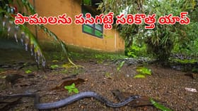 ఈ యాప్‌తో మీ చూట్టుపక్కల పాములు ఉన్నాయో లేదో ఇట్టే తెలుసుకోవచ్చు