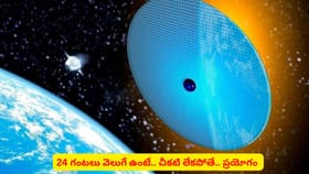 24 గంటలు వెలుగే ఉంటే.. చీకటి లేకపోతే.. ఏం జరుగుతుంది