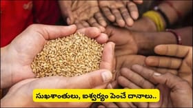 డబ్బు కంటే ఈ 5 వస్తువులను దేవాలయానికి దానం చేస్తే ఎక్కువ పుణ్యం..
