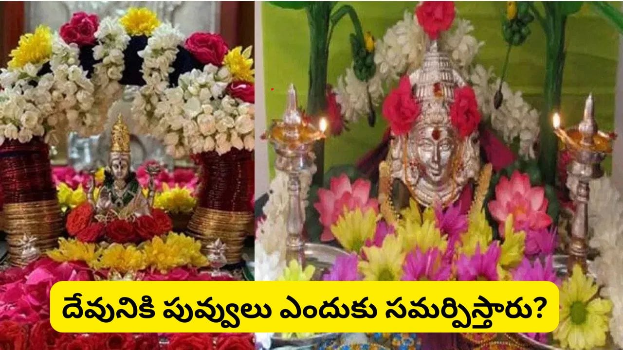 దేవుడికి సమర్పించే పువ్వులను ఎప్పుడూ కడగకూడదా? అసలు కారణం తెలిస్తే ఇకపై ఆ తప్పు చేయరు!