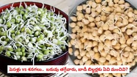 పెసళ్లు vs శనగలు.. బరువు తగ్గేవారు, బాడీ బిల్డర్లకు ఏవి మంచివి?