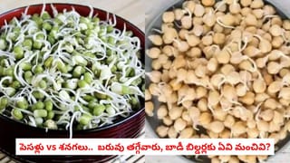 Health Care: మొలకెత్తిన పెసళ్లు vs నల్ల శనగలు.. రెండింటిలో హెల్త్‌కు అసలైన సూపర్‌ఫుడ్ ఏది?