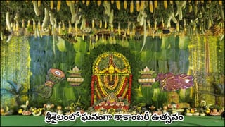 శ్రీశైలం భ్రమరాంబికాదేవికి శాకాంబరీ అలంకారం.. 3 వేల కేజీల కూరగాయలు, వేలాది ఫలాలతో దివ్య శోభ!