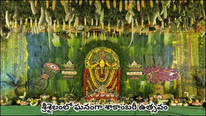 శ్రీశైలం భ్రమరాంబికాదేవికి శాకాంబరీ అలంకారం.. వేలాది ఫలాలతో..