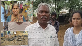 Video: అర్ధరాత్రి ఘోరం.. తెల్లారేసరికి ఇంటి ముందు 40 మూగ జీవాలు మృతి.. అసలేం జరిగిందంటే?