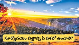 సూర్యోదయం ఫోటోను ఈ గదిలో పెడితే శుభం.. కానీ ఇక్కడ మాత్రం అస్సలు..