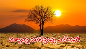 భారత్‌ను భయపెడుతున్న ఎల్ నినో.. రాబోయే రోజుల్లో కరువు తప్పదా?