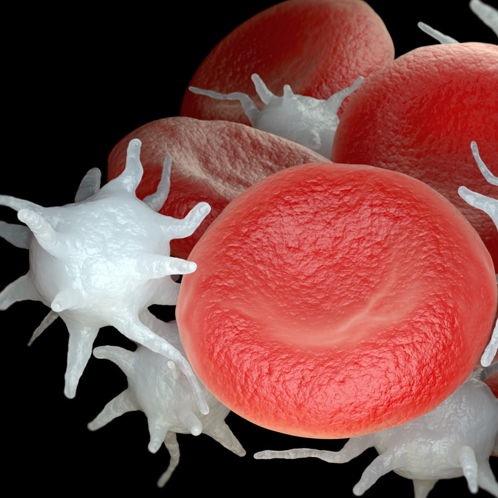 Superfoods To Increase Blood Platelets (2)