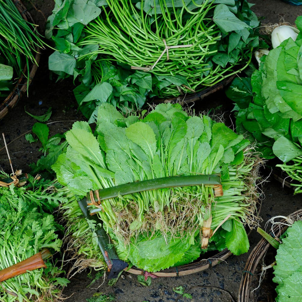 Superfoods To Increase Blood Platelets (5)