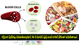 ప్లేట్‌లెట్లను పెంచే 5 అద్భుత ఆహారాలు!
