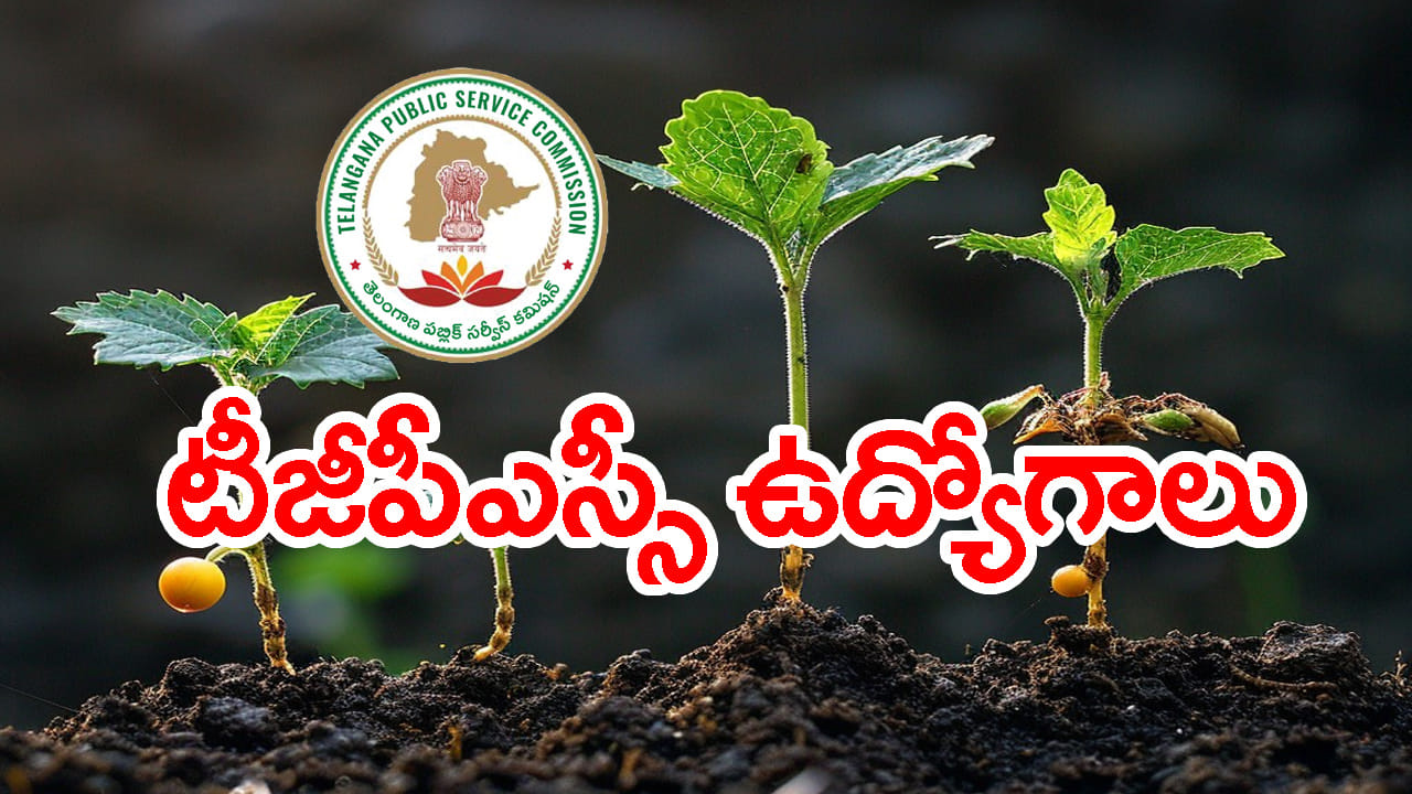 నిరుద్యోగులకు ప్రభుత్వ ఉద్యోగ అవకాశం.. TGPSC నుంచి మరో నోటిఫికేషన్