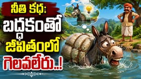 సోమరితనంతో జీవితంలో గెలవలేరు..! సోమరి గాడిద కథ