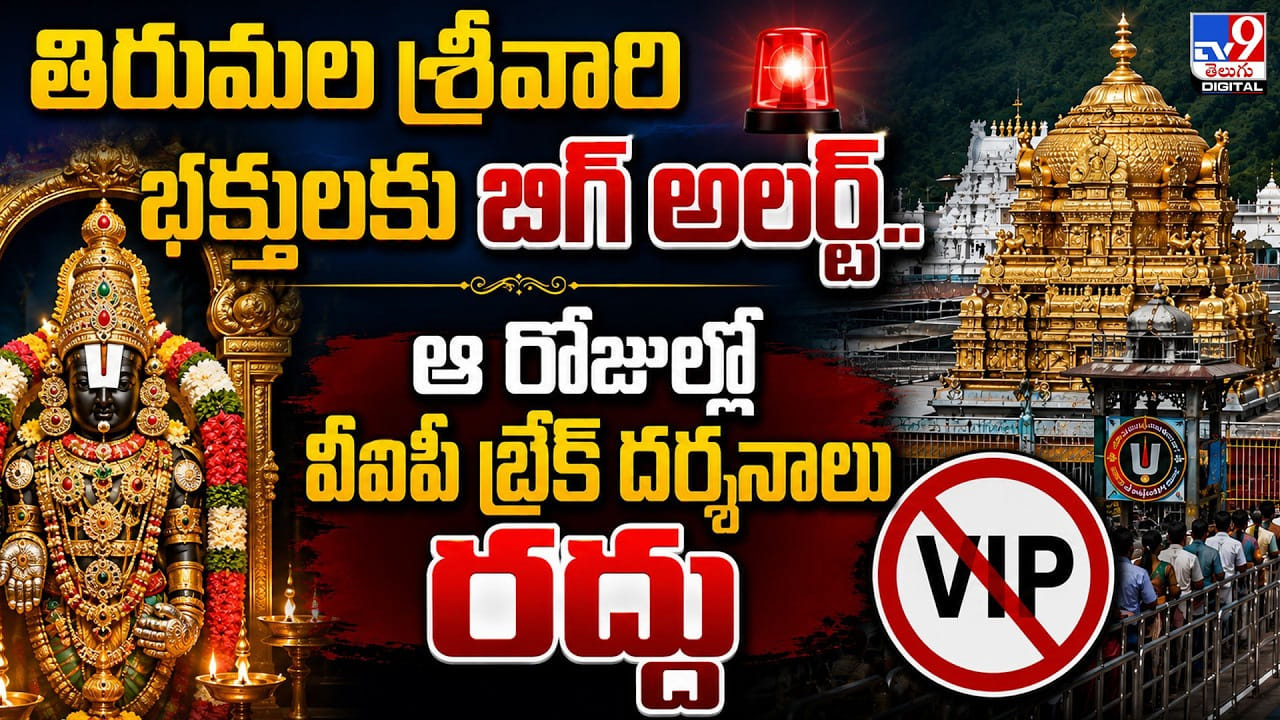 తిరుమల శ్రీవారి భక్తులకు బిగ్ అలర్ట్.. ఆ రోజుల్లో వీఐపీ బ్రేక్ దర్శనాలు రద్దు తిరుమల శ్రీవారి భక్తులకు బిగ్ అలర్ట్.. ఆ రోజుల్లో వీఐపీ బ్రేక్ దర్శనాలు రద్దు
