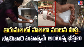 తిరుమలలో పాలలా మారిన నీళ్లు.. తిరుమలలో పాలలా మారిన నీళ్లు..