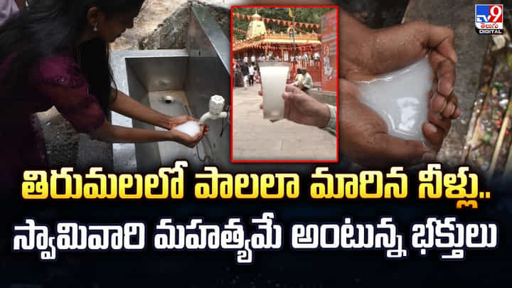 తిరుమలలో పాలలా మారిన నీళ్లు.. తిరుమలలో పాలలా మారిన నీళ్లు.. తిరుమలలో పాలలా మారిన నీళ్లు.. తిరుమలలో పాలలా మారిన నీళ్లు..