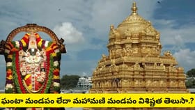 తిరుమల గర్భగుడిలో గంట ఎందుకు ఉండదు? అసలు నిజం ఇదేనా..?