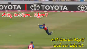 నువ్వు మనిషివా.. పక్షివా? అసలే మావాడు కష్టాల్లో ఉంటే..