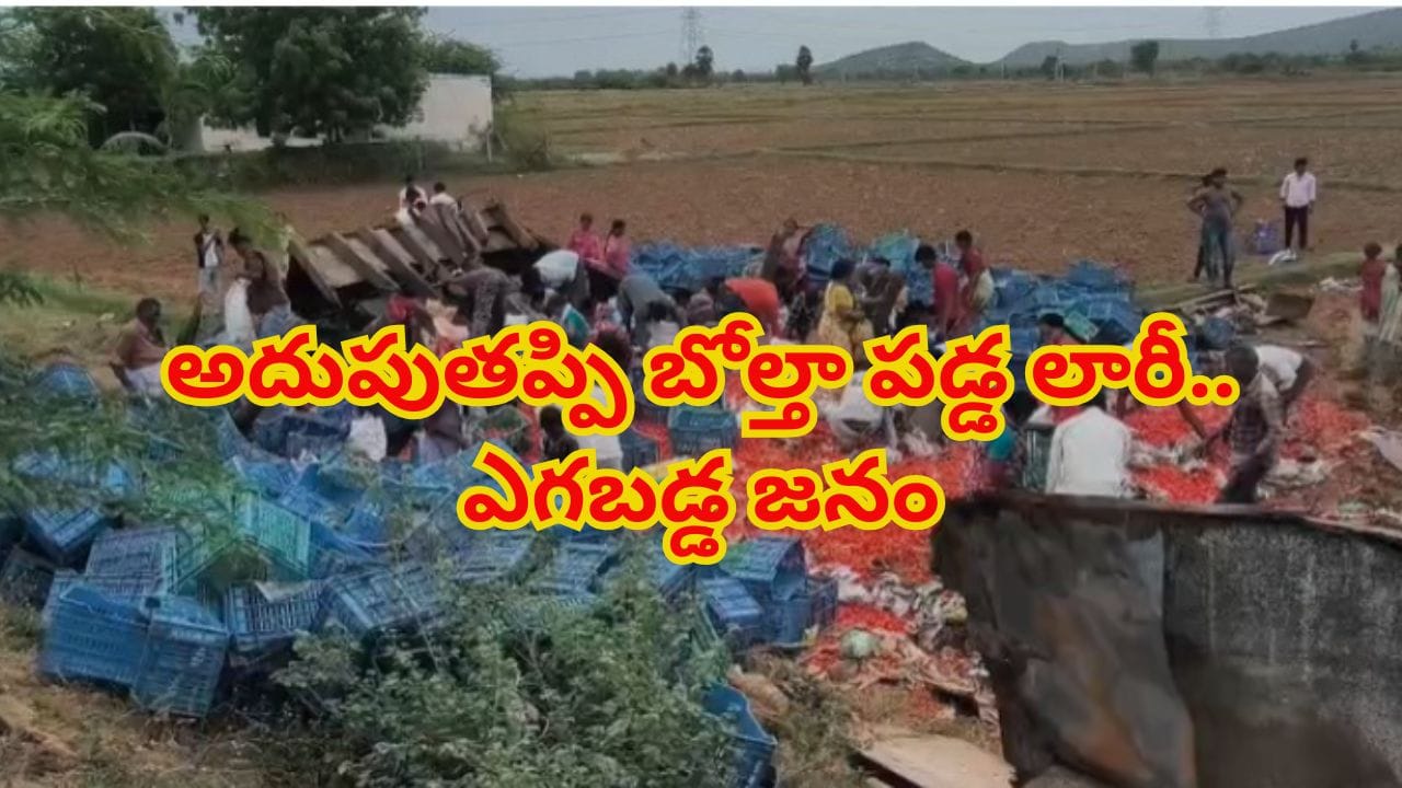 టమాటా లారీ బోల్తా.. మానవత్వాన్ని మరిచి ఎగబడ్డ జనం! ఆ దృశ్యాలు చూస్తే..